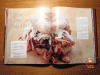 Smoker Praxis Technik Wartung Rezepte Buch Beispielrezept