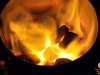 Anzündkamin von Weber "Rapidfire"